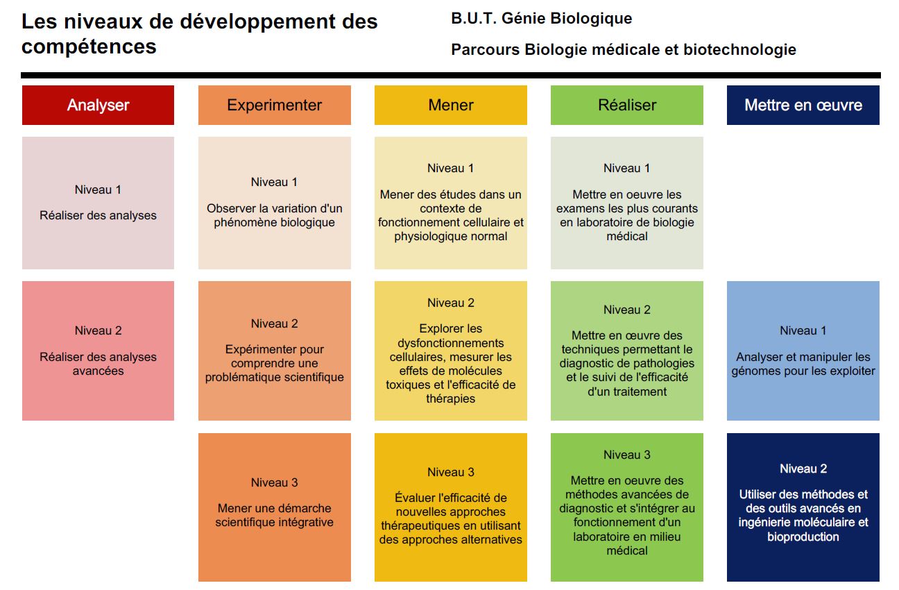 Compétences du parcours BMB du BUT GB